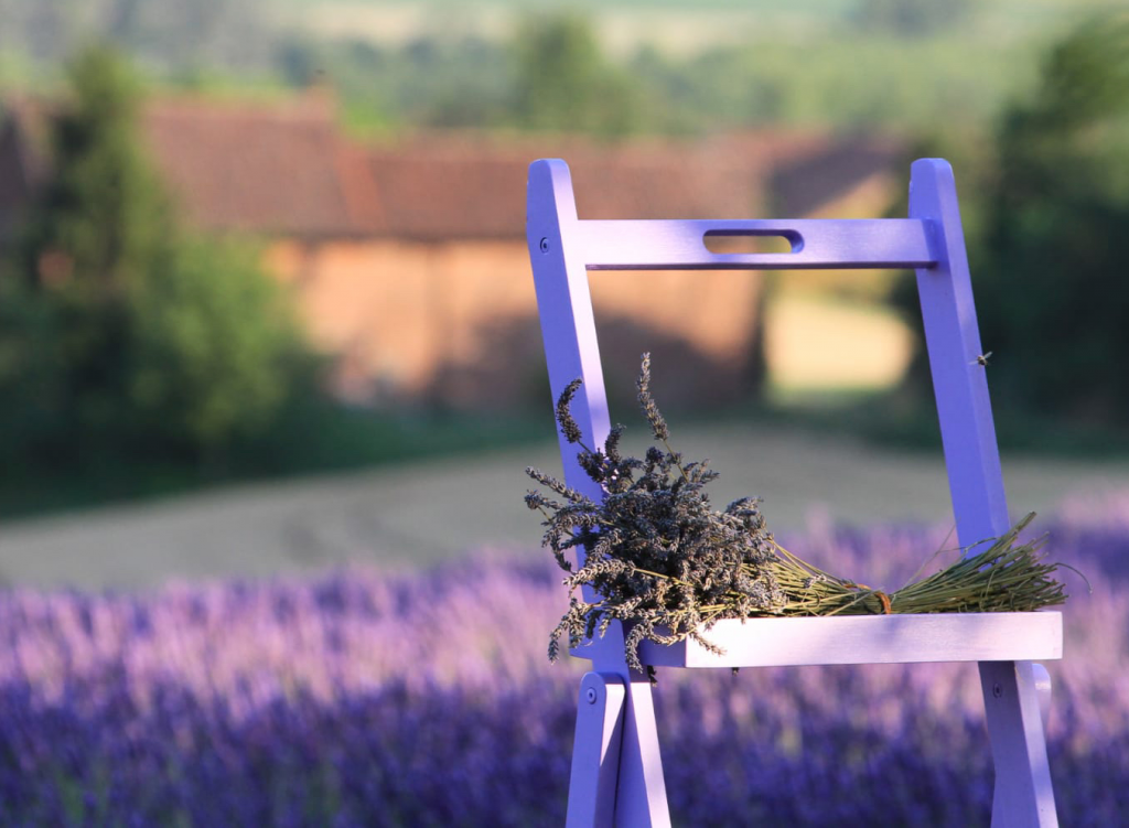 La lavanda di Quargnento: altro che Provenza…!